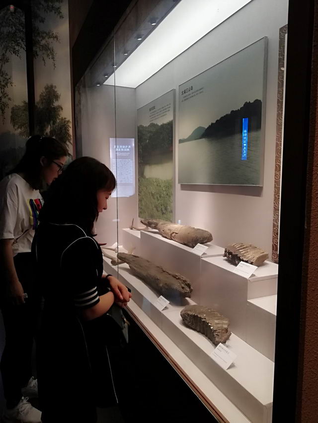 03_调整大小.jpg 03_调整大小.jpg