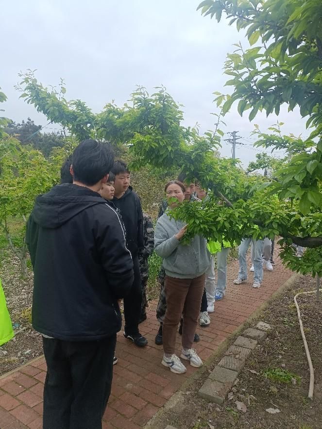 wps_doc_0.jpg wps_doc_0.jpg