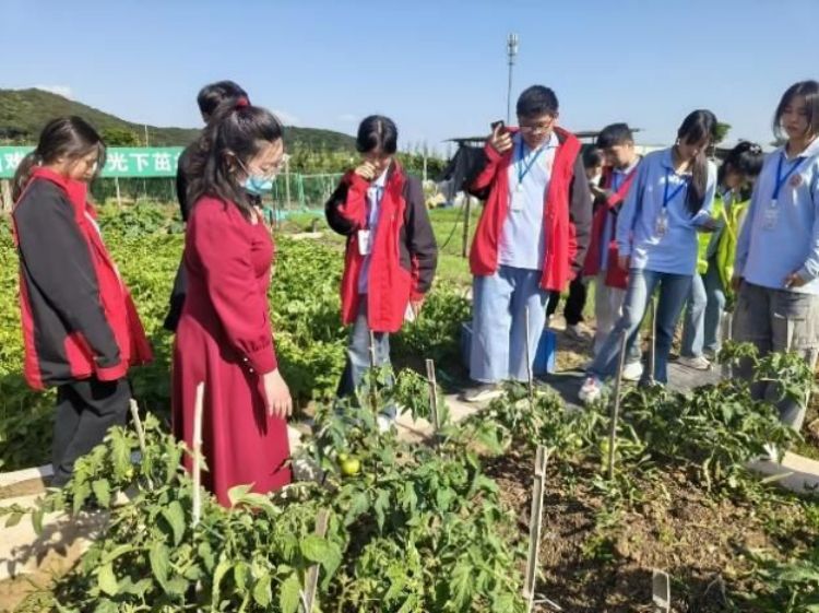 wps_doc_2.jpg wps_doc_2.jpg