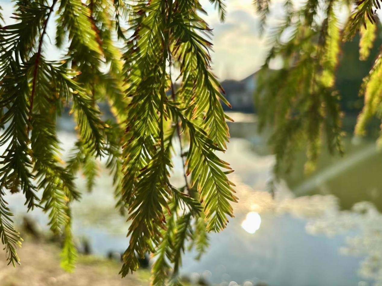 wps_doc_7.jpg wps_doc_7.jpg