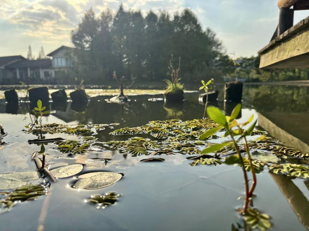 wps_doc_8.jpg wps_doc_8.jpg