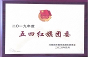 喜报——我校团委荣获2019年度 滨湖区 “五四红旗团委”